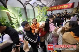 “小砂糖橘”回到南宁！家长：孩子都长胖了，感谢东北老铁花式宠娃图片
