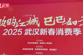 2025武汉新春消费季正式启动 发放超亿元零售、餐饮、文旅、体育消费券图片