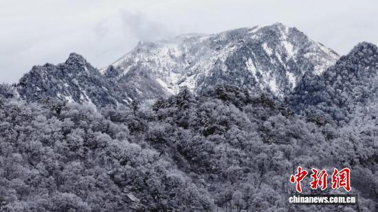 秦岭迎初雪 银装素裹美不胜收