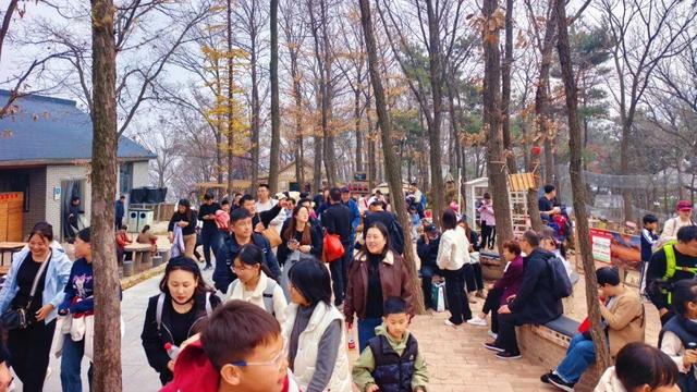 千车万人争打卡，沂蒙山龟蒙景区涌现初冬旅游热潮