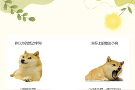 泰安市中心医院市立院区：被狗狗弄伤，处理方式变样了图片