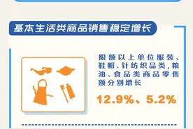 2023中国经济年报丨市场销售较快恢复！全年社会消费品零售总额同比增长7.2%图片