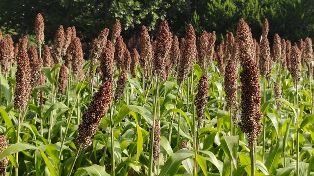 北京周末：神清气爽，悠然踏秋