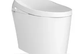 恒洁智能马桶冲洗后返水，消费者半年投诉四次后对方协商退换货图片