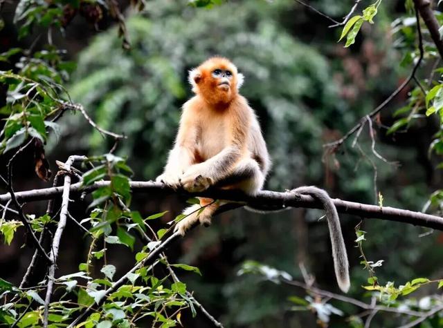 解锁冰雪奇观与小众秘境，两条线路玩转“陇上江南”的趣味暖冬