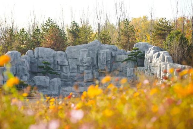 北京公园上新！又大又美还免费！