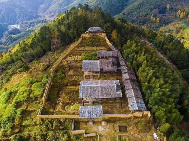 现存数量最多！赏银杏就来珠峰村