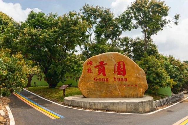 免费报名 | 〖跟着茂马游茂名〗福利专车即将发车！限时抢位→