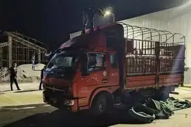 雅安公安：聚焦生态领域违法犯罪 严厉打击非法捕捞行为图片