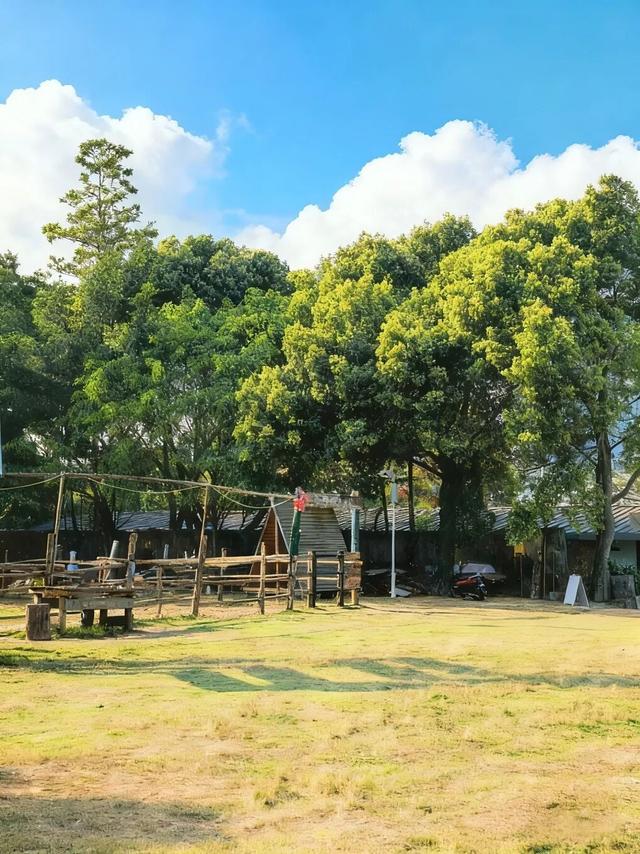 《许我耀眼》同款！坪山藏着你的“温暖的港湾”