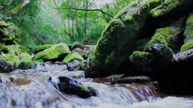 华亭莲花台:绮丽风光无限美 色彩斑斓惹人醉