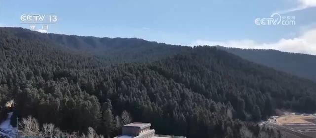 超级冰滑梯、林海围炉……解锁新体验！特色冰雪活动拉满冬日文旅期待值