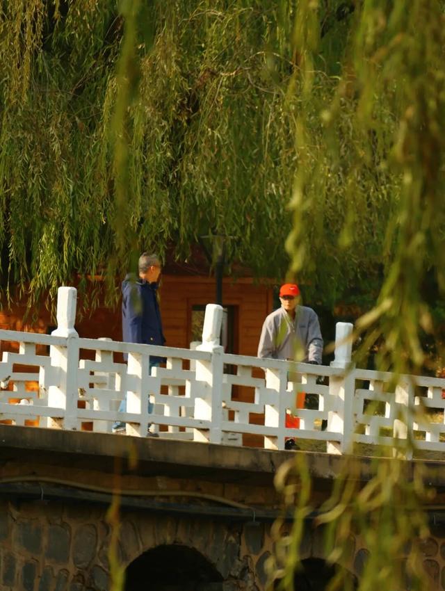 听，呼和浩特秋天的BGM正在你耳边播放