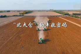 当好国家粮食安全“压舱石”——“北大仓”的丰收密码图片