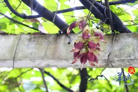广东回南天范围将扩大！最新提醒→图片