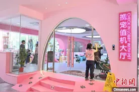 探营广州白云机场宠物航站楼图片