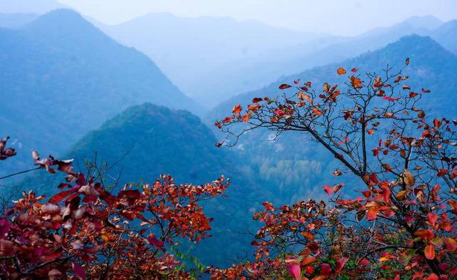 南漳：秋染五朵山
