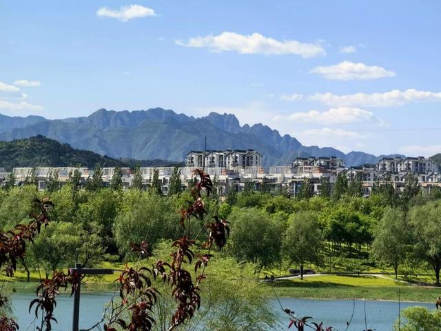 东西问丨汉学家薄国强：在骑行中感知文化中国