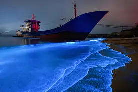 福建平潭海滨出现“蓝眼泪”景观，官方：禁止船舶夜间载客追“泪”航行图片