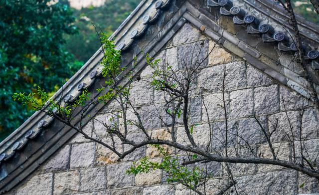 数智文旅 媒动山海丨赴青岛之约！解锁中西交融的建筑美学盛宴