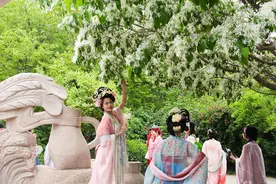 一起“上春山”！千佛山“三月三”庙会4月4日启幕 | “泉”在济南过五一图片