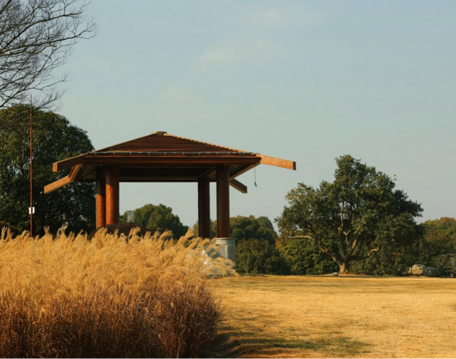 旅超·域见宝山｜马上出发！新春深度游、酒店休闲、邮轮度假尽在宝山！