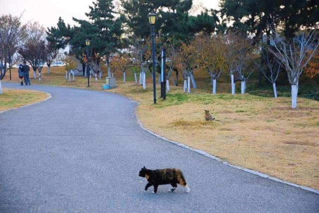 真正的浪漫，是冬天去威海看海