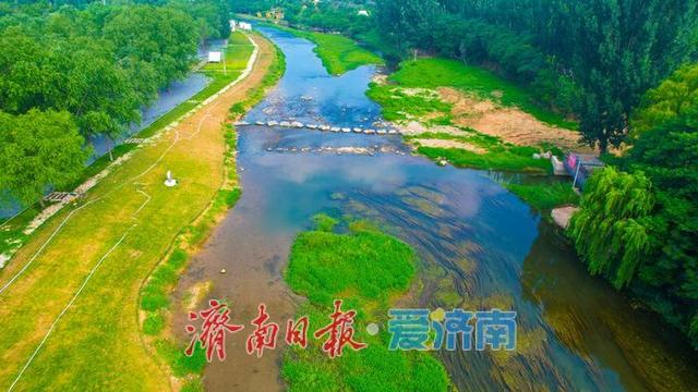 一年四季 泉在济南丨玉符河畔碧水绿树相映，绘就泉城清凉画卷