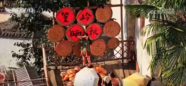 假期将至 这份“秋日生活指南”请收好↓