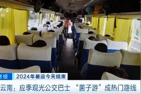 坐公交看风景！昆明“菌子游”观光巴士火了图片
