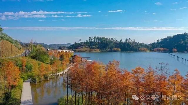 这个周末，来赣州一起“森”呼吸！