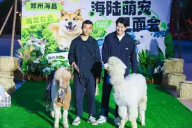 海陆萌宠会面！郑州海昌打造宠物友好乐园 探索更多服务内容图片