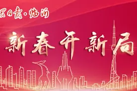 发展关键词 | 临沂市罗庄区：振兴图片