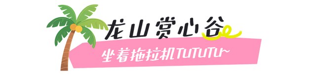 江宁初冬亲子“三件套”→