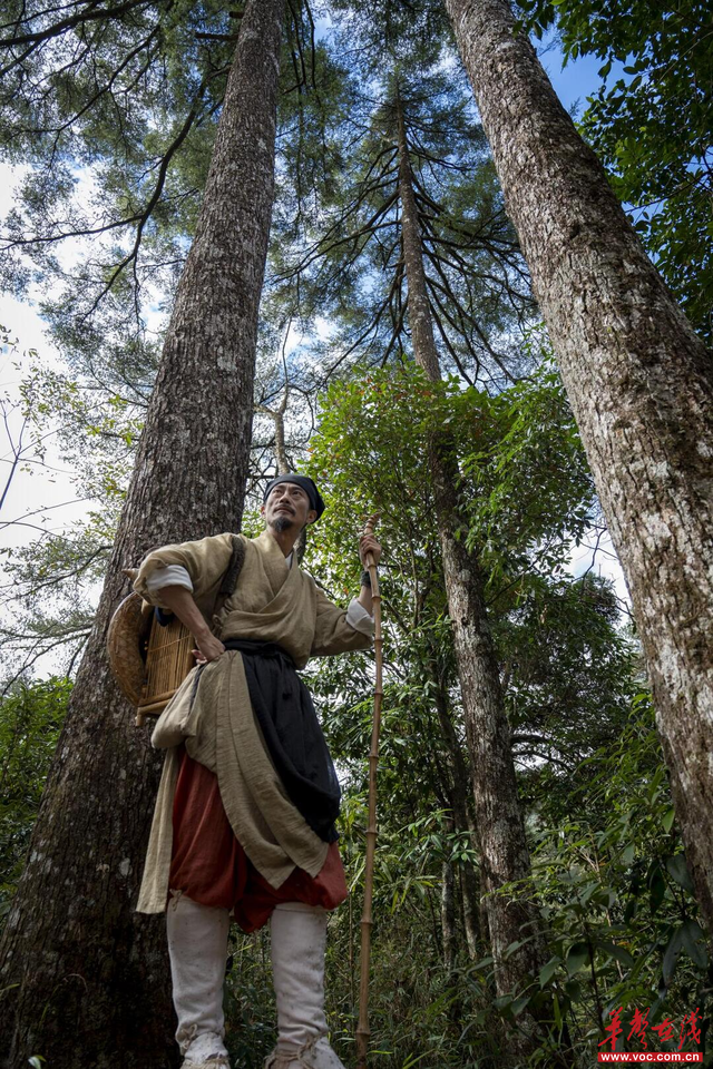 郴游日记新编③|溯溪涧清幽 穿林海千重