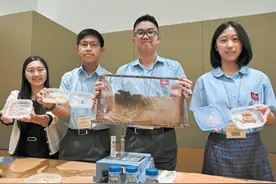 智慧生活 绿色科技图片