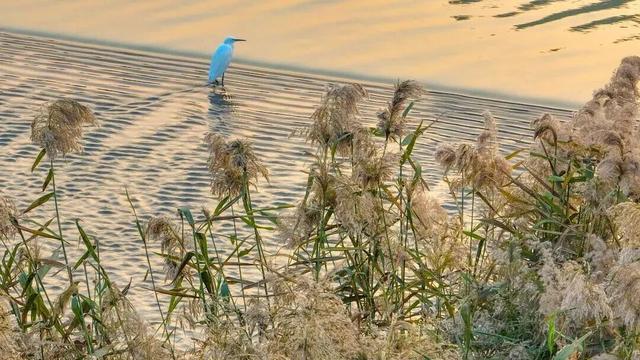 绝绝子！除了绝绝子，我还能怎么夸洛阳