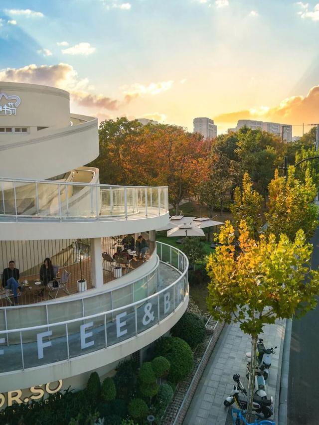 红叶+落日！深秋限定！用一下午时间感受河畔最美秋色