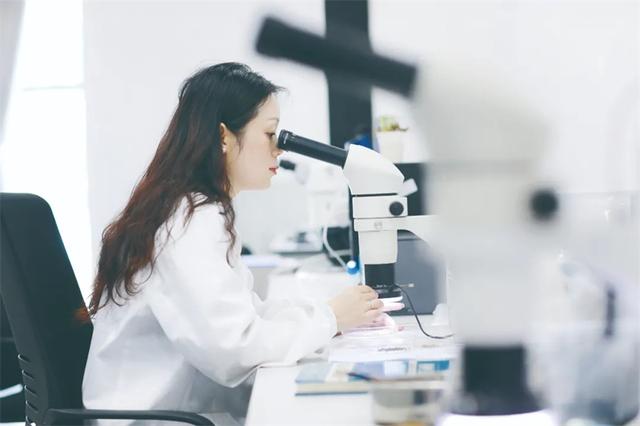 成都全面推动文物事业高质量发展