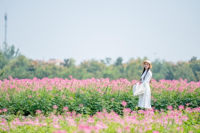 教师节宿迁多家景区特惠来袭，这份专属游玩攻略请收好
