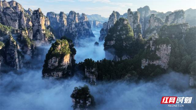 张家界鹞子寨景区：金秋日出云海同框 绘就多彩山水画卷