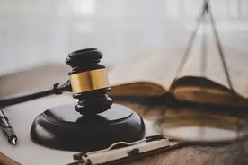 以案释法丨无父母妻儿，被撞身亡后的死亡赔偿金由谁继承？图片