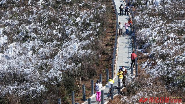 图说 | 赴西晃山之约，看雾凇云海共舞