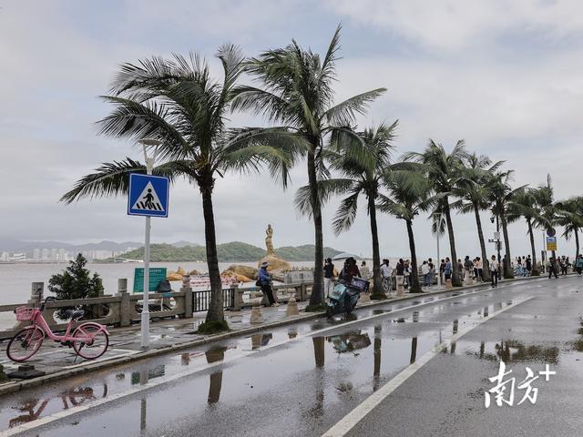 “桦加沙”过境后，珠海情侣路市民游客又多了起来｜一线直击