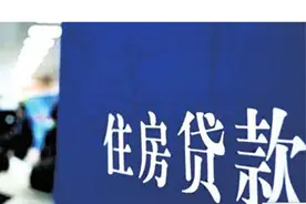 “职业背债人”骗取贷款，应从严把控背调程序图片