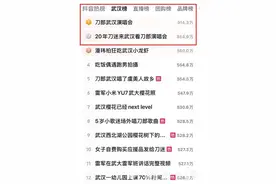 刀郎演唱会现场“燃” 社交媒体平台讨论“热”图片