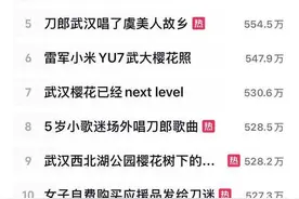 刀郎演唱会现场“燃” 社交媒体平台讨论“热”图片