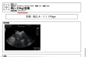 小狗寄养期间怀孕 顾客指责宠物店将三只狗关在一个笼子图片