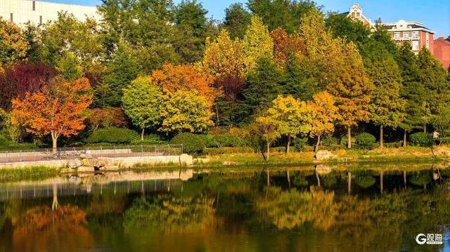 深秋时节，碧水彩林相映美