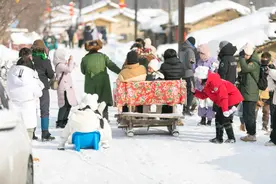 这个冬天，有一种宠溺来自东北图片